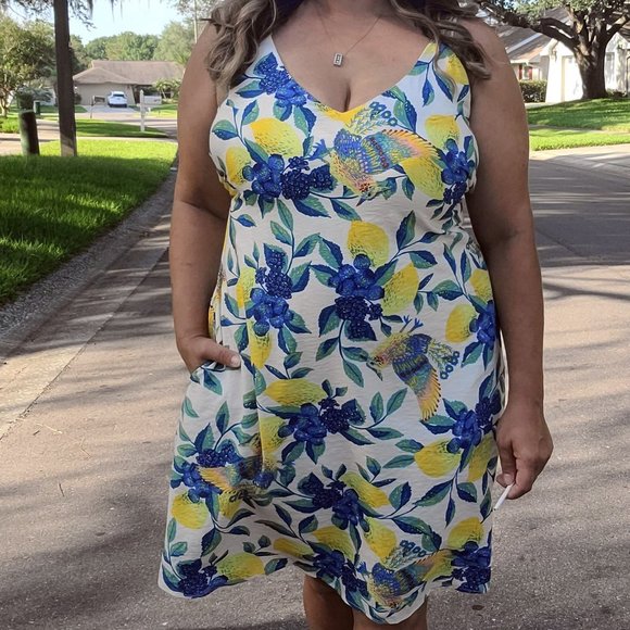 Davi & Dani Dresses & Skirts - Lemon Berry Summer Dress